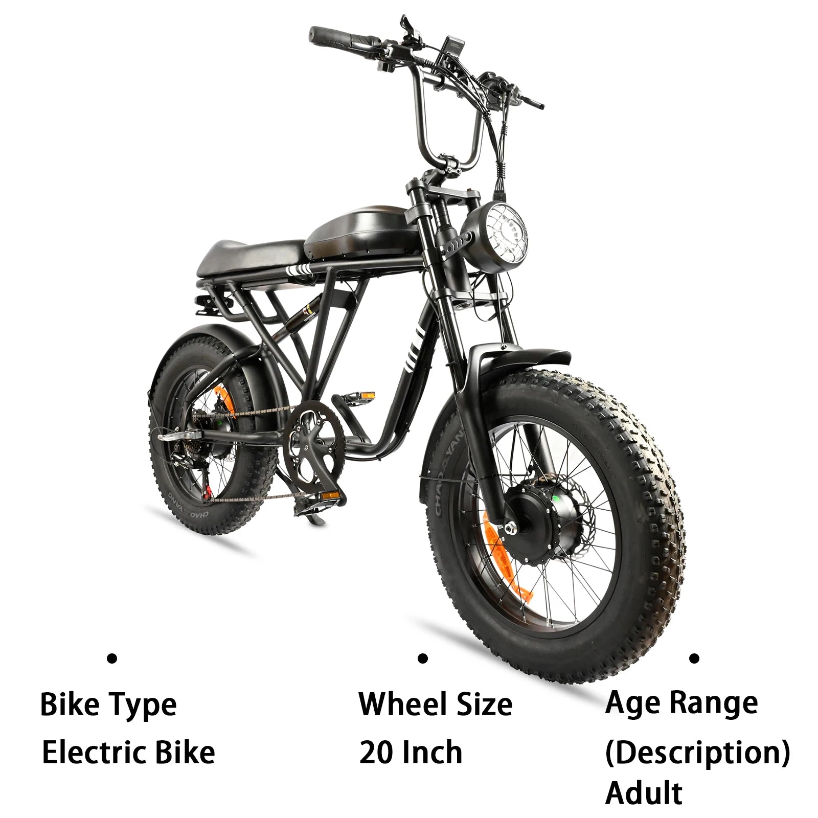 20 Inch 1000W Dual Motor 48V 100km Fat Tire Ebike Adult Electric Mountain Bike Aluminum Alloy Adult Suv Electric Bike