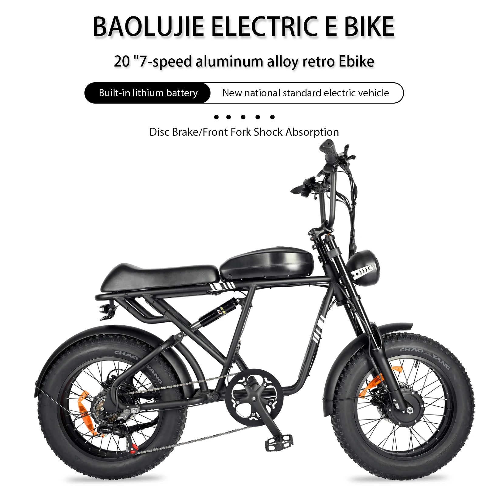 20 Inch 1000W Dual Motor 48V 100km Fat Tire Ebike Adult Electric Mountain Bike Aluminum Alloy Adult Suv Electric Bike