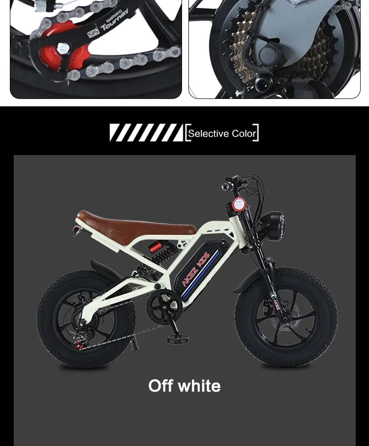 AKEZ 16inch Fat Tire electric bike kids to ride 350W Motor 36V 16AH Battery Full Suspension retro Electric Mountain Bicycle
