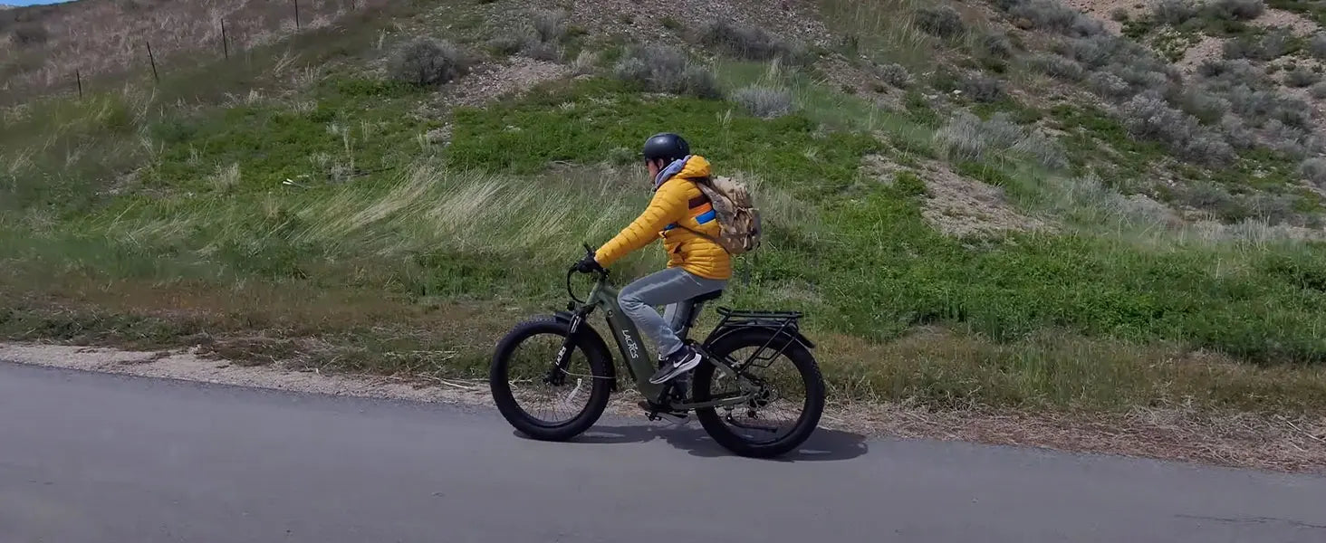 Lacros Thunder adult E-bike，750W city ebike，48V20AH Electric Bicycle，26 Fat Tire E-Mountain bike