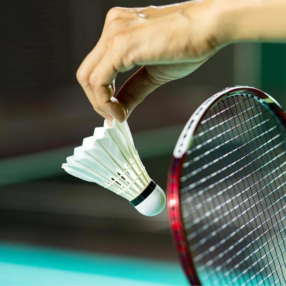 Professional Badminton Shuttlecock Training Sport Badminton Ball Duck Feather Shuttlecocks Sports Training Badminton Balls