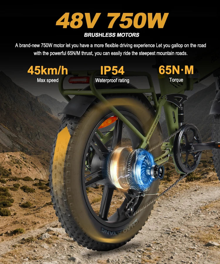 HedaTX PX6 adult E-bike 750W  ebike 48V 13Ah battery city ebike,26 inch Fat Tire E-Mountain bike