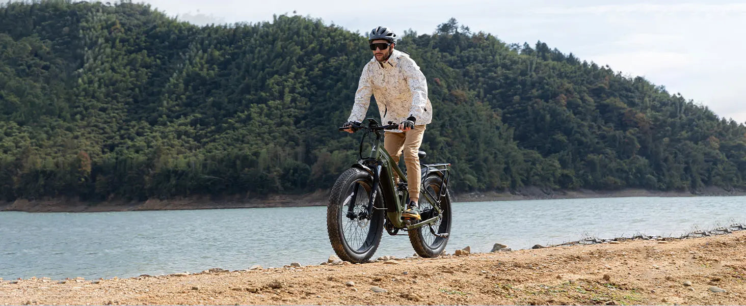 Lacros Thunder adult E-bike，750W city ebike，48V20AH Electric Bicycle，26 Fat Tire E-Mountain bike