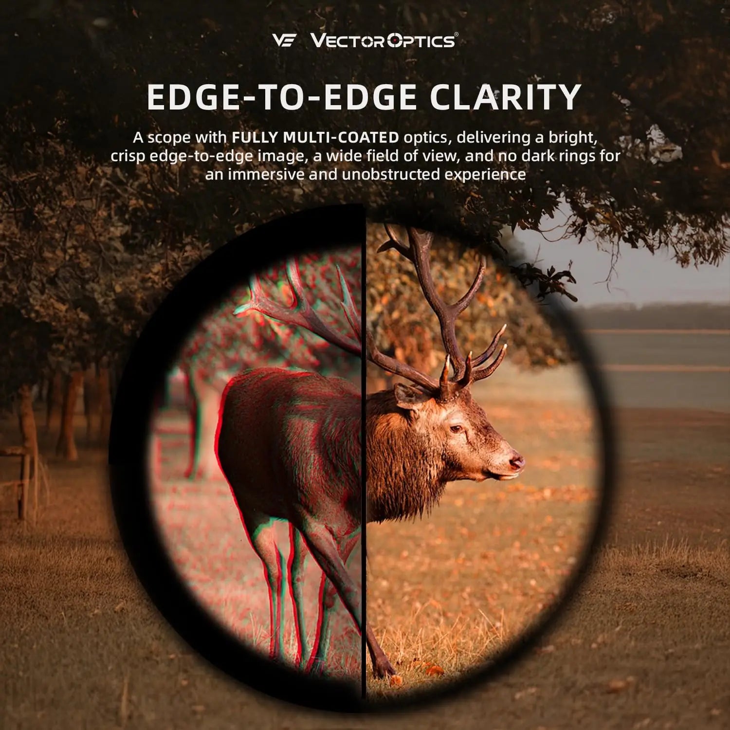 Vector Optics Sentinel-X Pro10-40x50 SFP Riflescope With Center Dot Illuminated Reticle & Zero Stop For 25M Benchrest Shooting