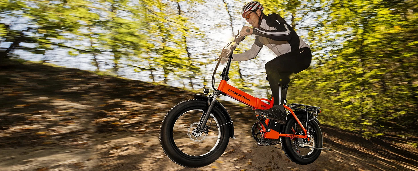 1000W Folding Electric Bike, 48V 20AH Large Removable Battery E Bike, 30+MPH, 80 Miles Max Range, 20