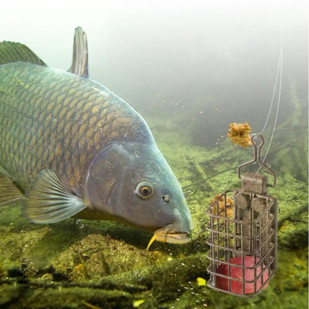 Catfish Bait Holders European Style Fishing Bait Thrower Square Carp Bait Holder Fishing Feeder Basket For Fishing Accessories