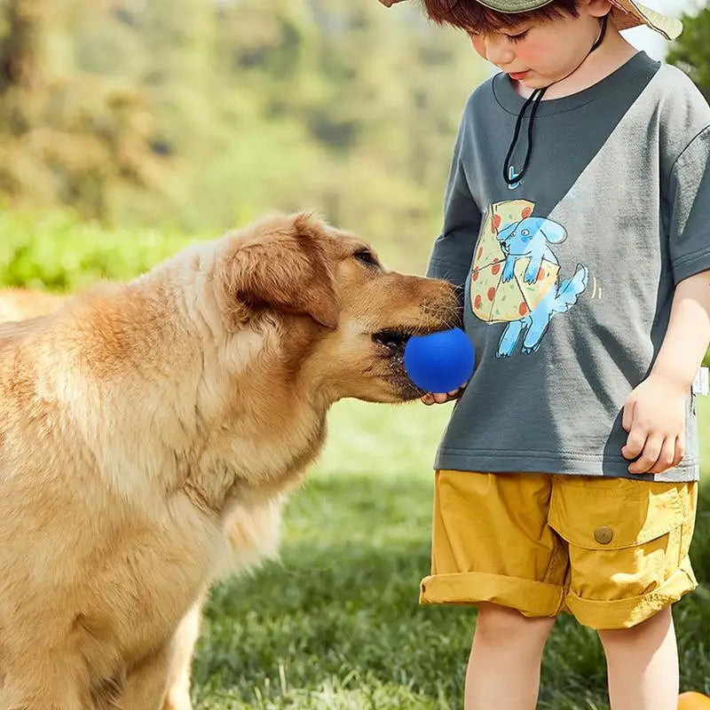 Squash Balls Professional High Elasticity Rubber Squash Bounce Ball High Visibility Sports Small Bouncing Hollow Sport Balls