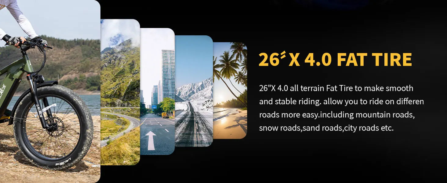 Lacros Thunder adult E-bike，750W city ebike，48V20AH Electric Bicycle，26 Fat Tire E-Mountain bike