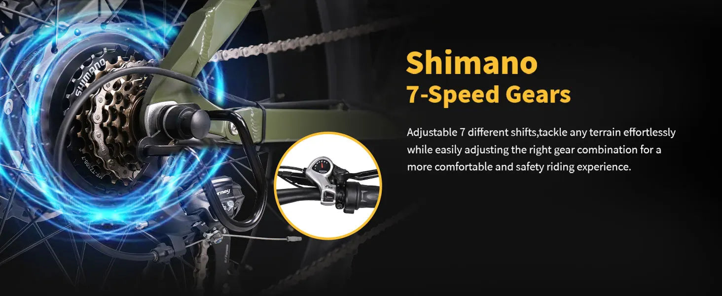 Lacros Thunder adult E-bike，750W city ebike，48V20AH Electric Bicycle，26 Fat Tire E-Mountain bike