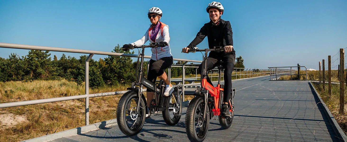 1000W Folding Electric Bike, 48V 20AH Large Removable Battery E Bike, 30+MPH, 80 Miles Max Range, 20