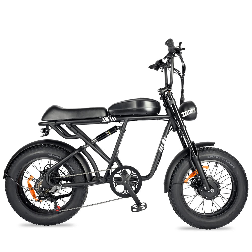 20 Inch 1000W Dual Motor 48V 100km Fat Tire Ebike Adult Electric Mountain Bike Aluminum Alloy Adult Suv Electric Bike