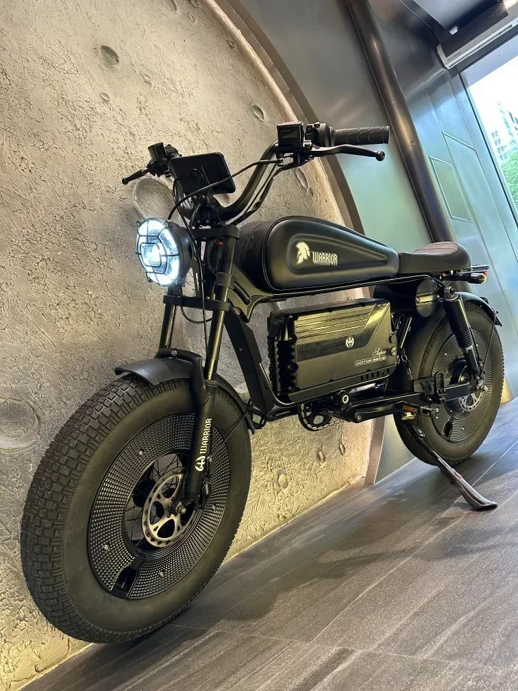 Ebik Black Warrior 3000W Motorbikes 60V 45AH Ebike Adult Road Electric Bicycle 20 inch Off-road Fat Tyre Electric Bike 2000w