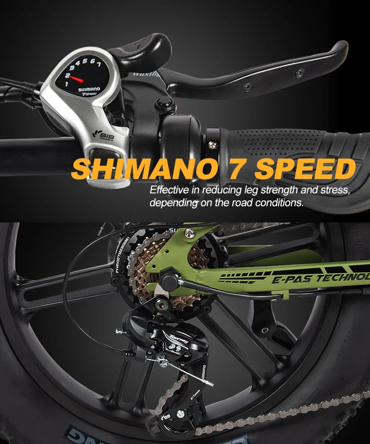 HedaTX PX6 adult E-bike 750W  ebike 48V 13Ah battery city ebike,26 inch Fat Tire E-Mountain bike