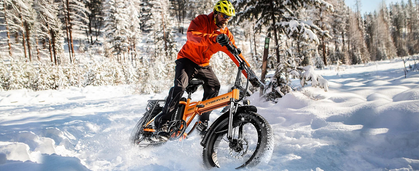 1000W Folding Electric Bike, 48V 20AH Large Removable Battery E Bike, 30+MPH, 80 Miles Max Range, 20