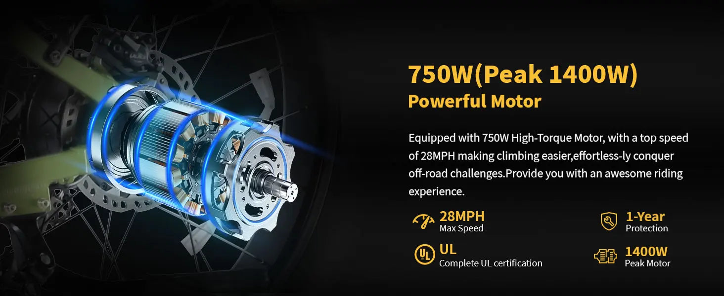 Lacros Thunder adult E-bike，750W city ebike，48V20AH Electric Bicycle，26 Fat Tire E-Mountain bike