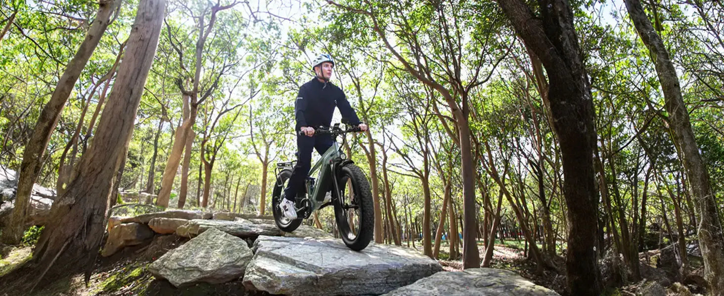 Lacros Thunder adult E-bike，750W city ebike，48V20AH Electric Bicycle，26 Fat Tire E-Mountain bike