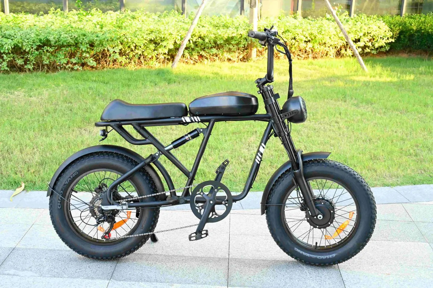 20 Inch 1000W Dual Motor 48V 100km Fat Tire Ebike Adult Electric Mountain Bike Aluminum Alloy Adult Suv Electric Bike