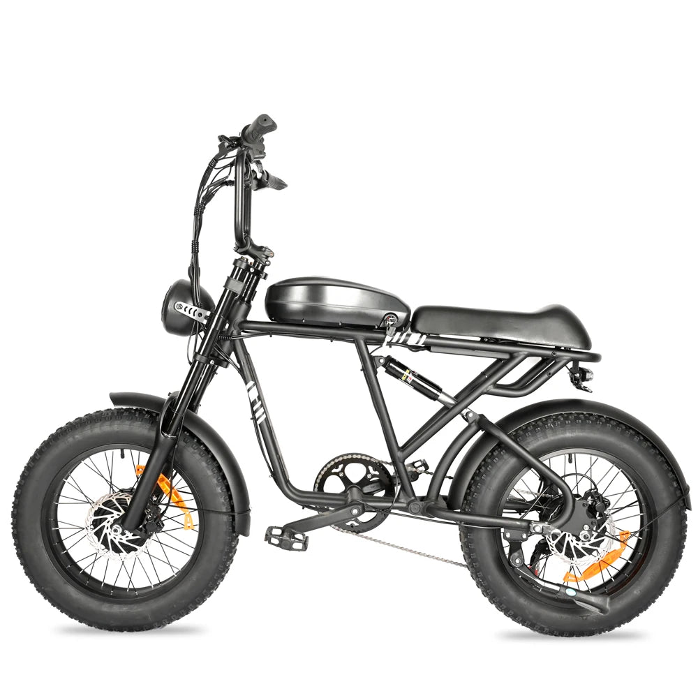 20 Inch 1000W Dual Motor 48V 100km Fat Tire Ebike Adult Electric Mountain Bike Aluminum Alloy Adult Suv Electric Bike